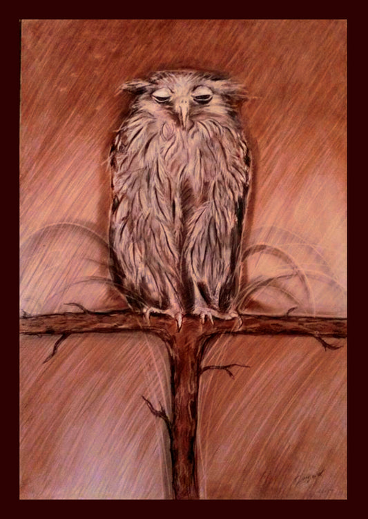 Old Owl